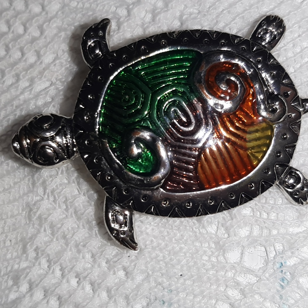 Turtle Set - Picture 3 of 4